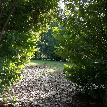 Prázdninový dům Casa Da Costeira *