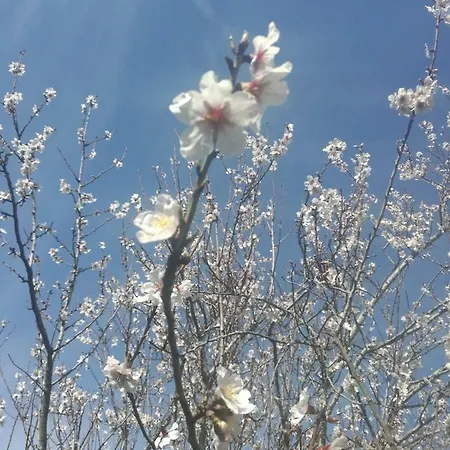 Casa Da Costeira Сasa de vacaciones