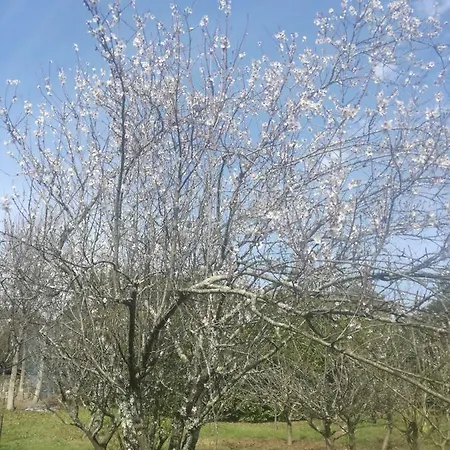 Casa Da Costeira * Figueiro