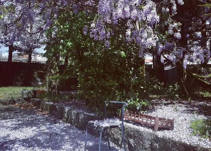 Σπίτι διακοπών Casa Da Costeira Figueiro