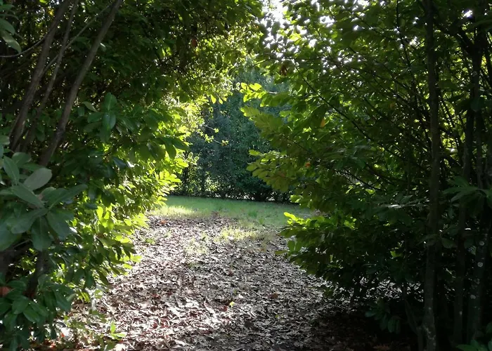 Nyaraló Casa Da Costeira *