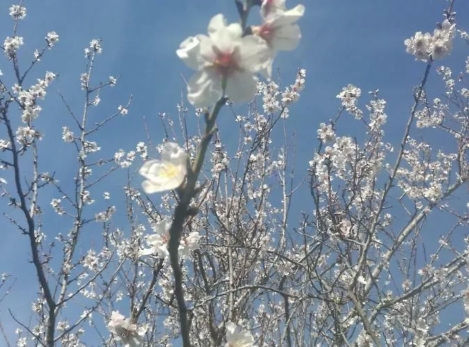 Casa Da Costeira Σπίτι διακοπών