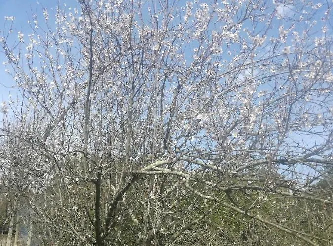 Casa Da Costeira * Figueiró