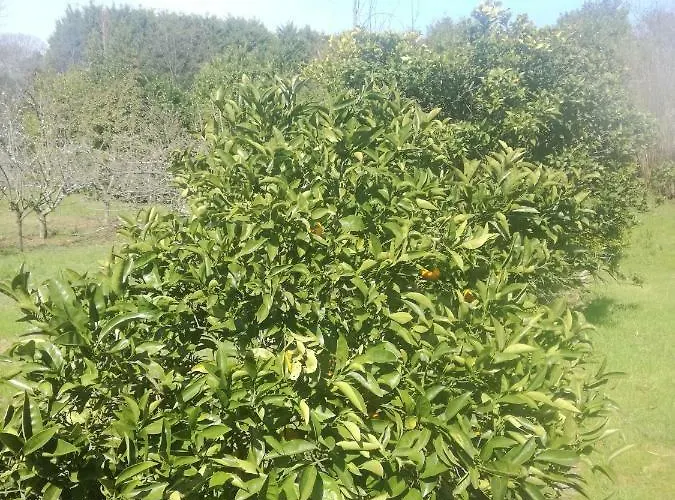 Casa Da Costeira * Figueiró